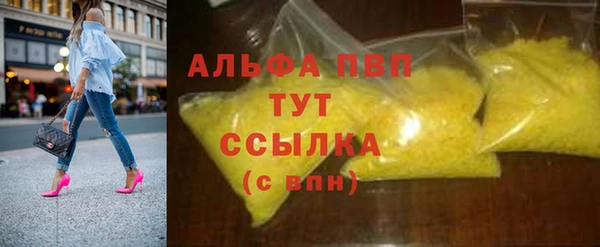 СК Алексин