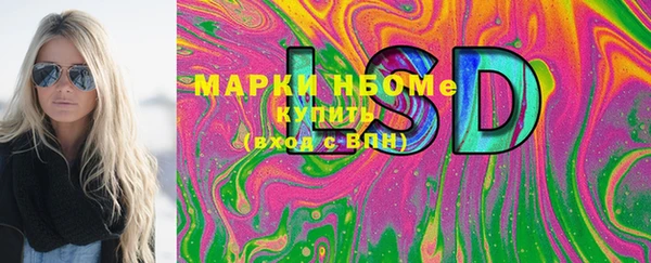 СК Алексин