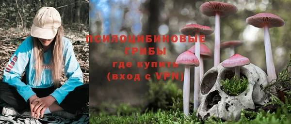 винт Алзамай
