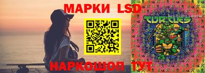 эйфоретик Обь