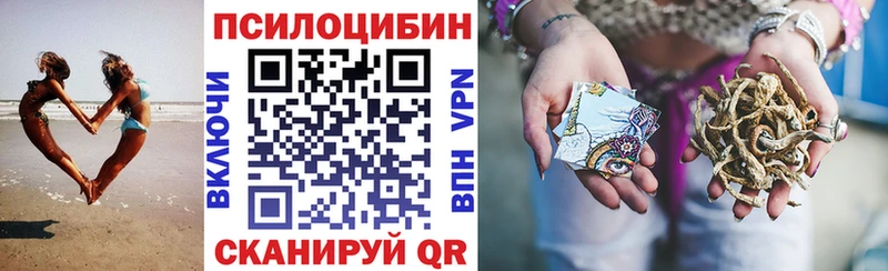 Псилоцибиновые грибы Psilocybe  omg зеркало  Саров 