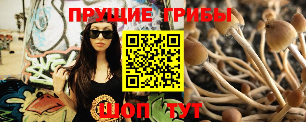 Псилоцибиновые грибы GOLDEN TEACHER Саров